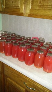 The Eicher family canned 45 quarts of rhubarb juice one day last week. 