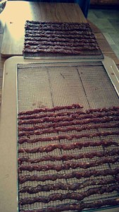 The Eicher girls were busy making venison jerky this week.