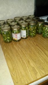 Hot peppers from the Eicher garden, canned and ready to spice up winter meals.