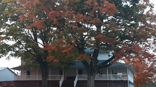 Welcoming autumn with zucchini cake, cowboy coffee, pumpkin spice, and other fall comforts